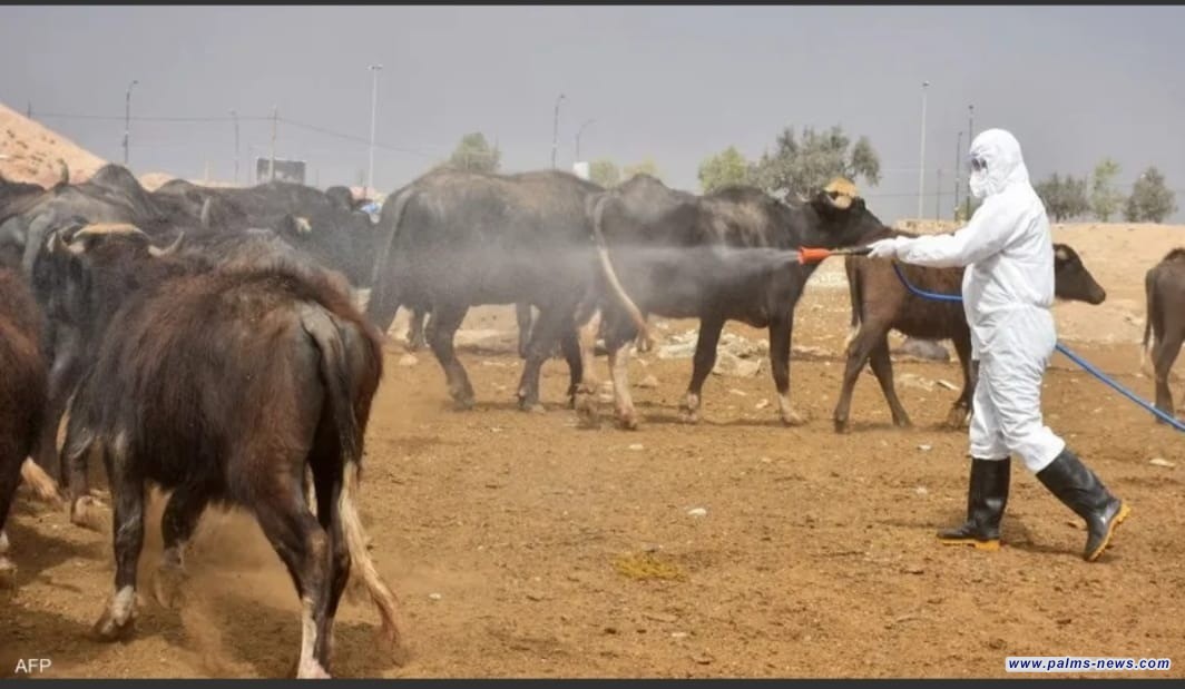 الموصل تسجل ثالث إصابة بالحمى النزفية خلال أسبوع